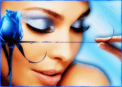 Rose bleue